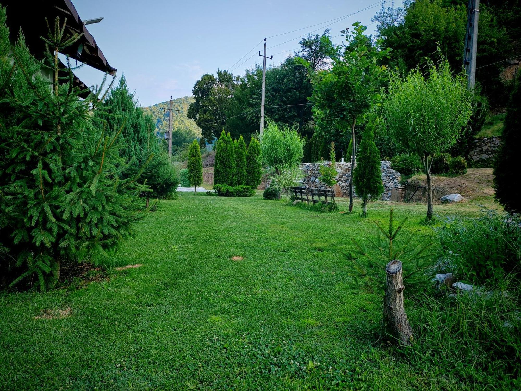Taverna Gradetului Schitu Topolnitei Εξωτερικό φωτογραφία